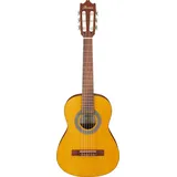 Ibanez Acoustic Guitar / GA1OAM Standard