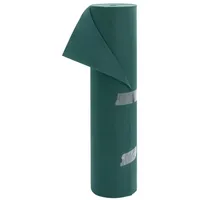VidaXL Wintervlies 2 Rollen 70 g/m2 50x1,6 m