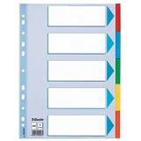 Esselte Register für A4, Deckblatt und 5 Trennblätter mit Taben, Blau/Mehrfarbig, Recyclingkarton, 100191