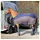 Euroriding Fliegendecke Dry Easy 135 cm Navy/Grau