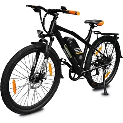 SachsenRad E-Trekking Bike R6T Neo