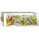 Eurographics 6010-5338 - Vögel im Garten, Panorama Puzzle - 1000 Teile