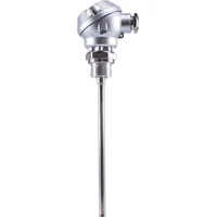 Jumo Widerstandsthermometer 00065691