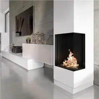 Kratki Gaskamin KRATKI LEO 45 / 68 rechts Erdgas