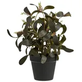House Nordic ebuy24 künstliche Pflanze Yria Grün 22 x 22 cm | Gr.: onesize