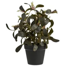 House Nordic ebuy24 künstliche Pflanze Yria Grün 22 x 22 cm | Gr.: onesize
