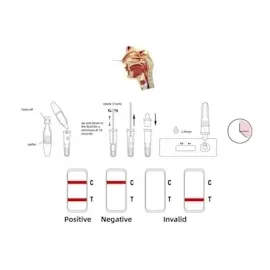 Greenspring Corona-Antigentest Green Spring 25 St.