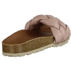 Verbenas Rai Roda rose 38