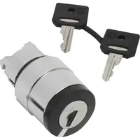 Schneider Electric ZB4BG210
