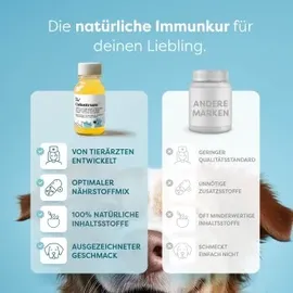 dr. sam Colostrum Kur zur Stärkung des Immunsystems 125 ml