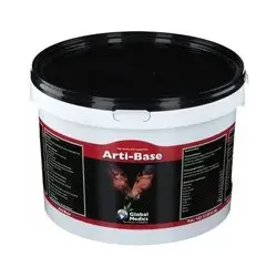 Arti-Base Poudre 1 kg