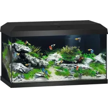 Juwel Aquarium-Set Primo 60 2.0 schwarz,