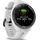 Garmin Approach S70 pudergrau 010-02746-11