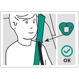 Paw Patrol Marshall rot