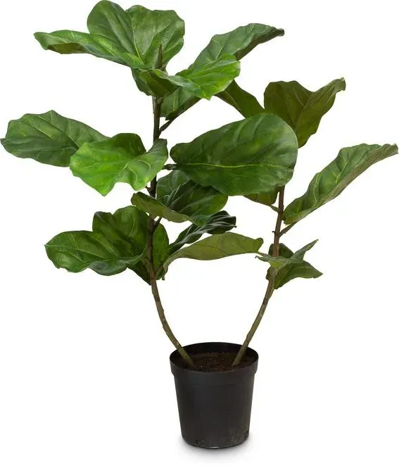 Künstlicher Geigenfeigenbaum - Ficus Lyrata 107 cm