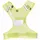 Nathan Streak Gelb/Gold S/M