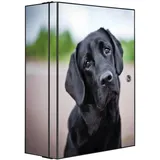 Banjado XXL Medizinschrank Abschliessbar 35x46x15cm Arzneischrank Anthrazit Aus Metall Mit Motiv Paolo