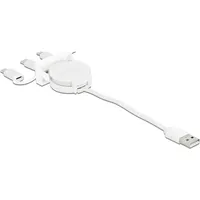 DeLock USB-C auf USB-A 50 m Weiß