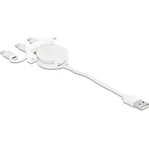 DeLock USB-C auf USB-A 50 m Weiß