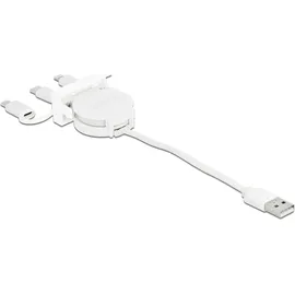 DeLock USB-C auf USB-A 50 m Weiß