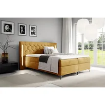 Fun Möbel Boxspringbett Schlafzimmerbett ELODIE 180x200cm Goldgelb inkl. Ambiente-LED