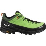 Salewa Alp Trainer 2 GTX M pale frog/black