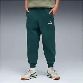 Puma Essentials No. 1 Logo Sweatpants FL B green terrain (75) 176