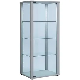 VCM Standvitrine Kavisa 50 x 38 x 115 cm Silber