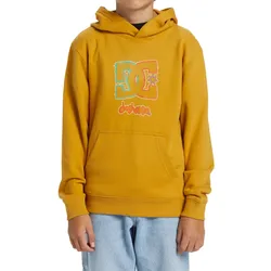 Hoodie DC SHOES "New Deals", Kinder, Gr. 10(140-148cm), tinsel, [Hauptstoff] 55% Baumwolle, 25% Baumwolle, 20% Polyester, Sweatshirts