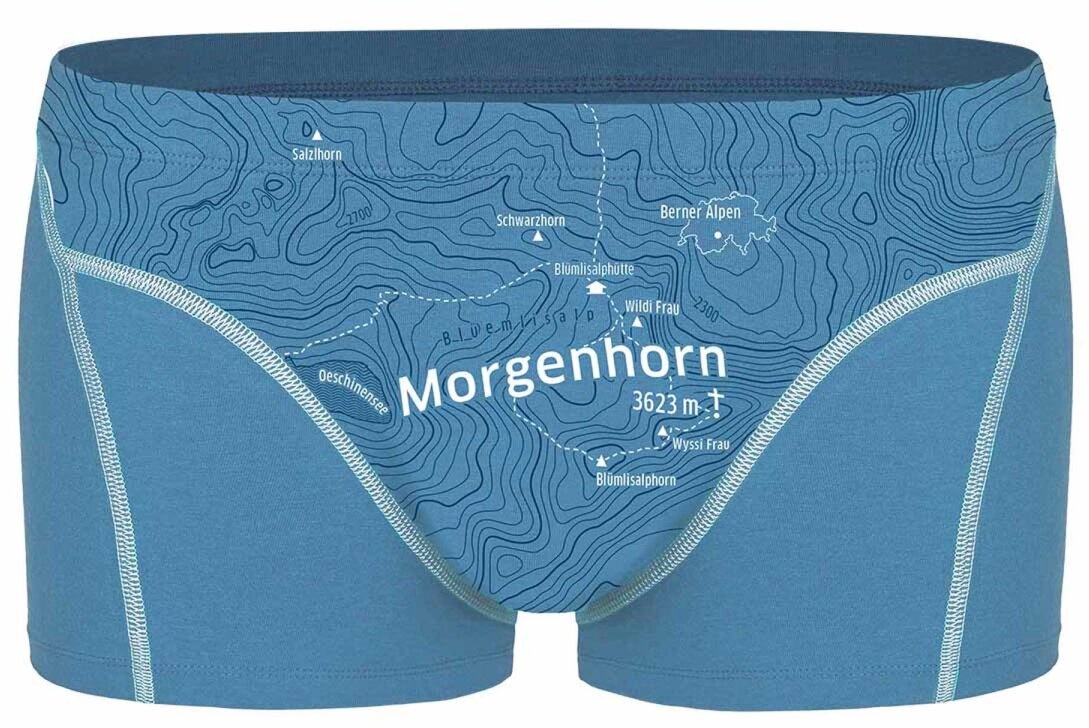 EIN SCHÖNER FLECK ERDE Herren Boxershorts - Shorts, Print, Bio-Baumwolle Morgenhorn (Himmelblau) XL
