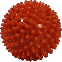 Rehaforum Igelball orange