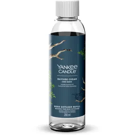 Yankee Candle Bayside Cedar 200 ml transparent