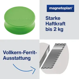 Magnetoplan Ergo-Magnete, large, Maigrün, Pack a 10 Stück