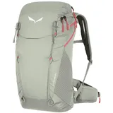 Salewa Alp Trainer 20 Wanderrucksack (Größe 20l grau)