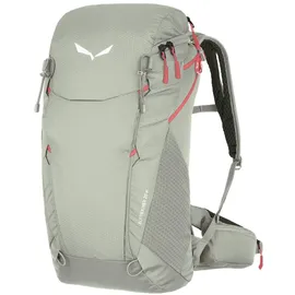 Salewa Alp Trainer 20 Wanderrucksack (Größe 20l grau)