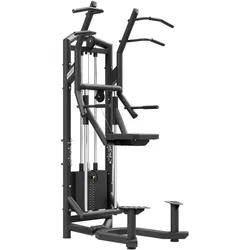 Dip & Pull-Up Assist UF-009 - UpForm