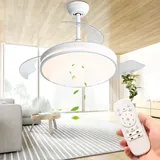 Deckenventilator Mit Beleuchtung, Deckenventilator Leise Lampe mit Ventilator Timer,Ventilator Deckenleuchte Mit Fernbedienung Für Wohnzimmer Schlafzimmer Esszimmer Einstellbare Windgeschwindigkeit