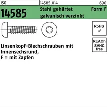 OEM Linsenblechschraube Iso 14585 ISR/Spitze 6,3x70 -f Stahl geh.galv.verz. 100St.