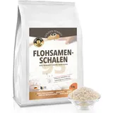 GOLDEN PEANUT Flohsamenschalen 1 kg 95% Reinheit hohe Quellzahl, glutenfrei, ballaststoffreich, vegan, Naturprodukt
