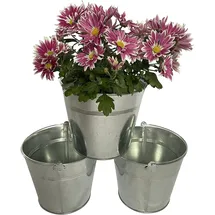 Online-Fuchs Zinkeimer 19 x 19 x 16 cm Silber Komplettset