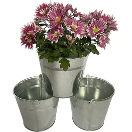 Online-Fuchs Zinkeimer 19 x 19 x 16 cm Silber Komplettset