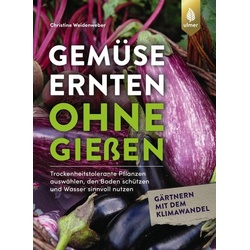 Gemüse ernten ohne gießen