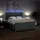 vidaXL Boxspringbett 180 x 200 cm Dunkelgrau