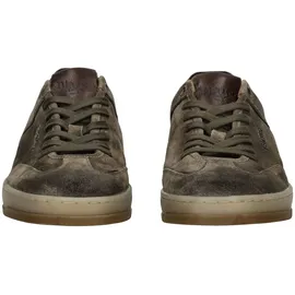 BLAUER Farrell02 Herren Braun 43