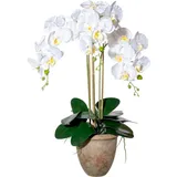 Kunstorchidee Orchidee Phalaenopsis Orchidee, Creativ green, Höhe 75 cm, mit traumhaft schönen Blüten weiß