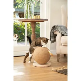 Designed by Lotte Balty Kratzbaum 30 x 30 x 31,5 cm braun