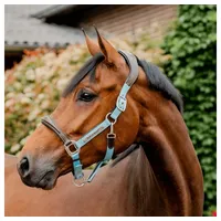 Horseware Halfter Horseware Signature Competition anatomisches Lederhalter