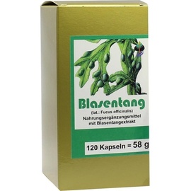 FBK-Pharma GmbH Blasentang Kapseln