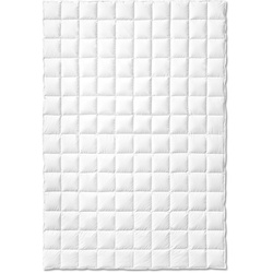 Kauffmann Exquisit Eiderdaunendecke leicht - 200x200cm