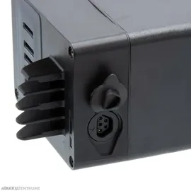 Joycube (Phylion) Akku Joycube DT-12 11,6Ah 36V